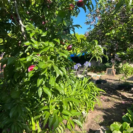 Apartman Casa Pomegranates